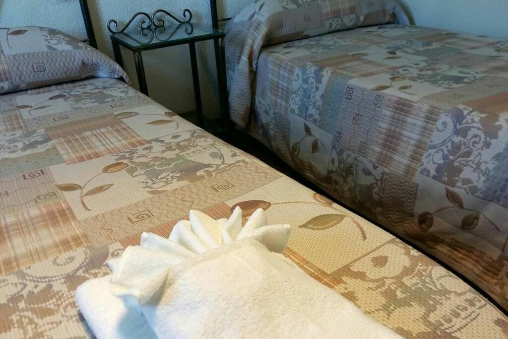 Apartamento Al-Zhara, Junto Puente Romano Lägenhet Córdoba Exteriör bild